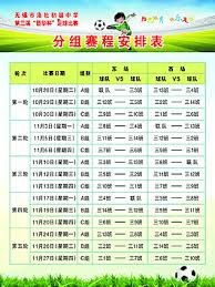 中超控股股票交易异常波动分析及投资策略